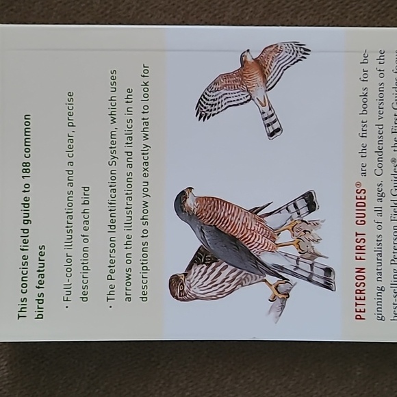 First Guide To Birds Of North America - Picture 3 of 3